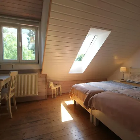 140 Qm Igelmuehle, Bei Der Romantischen Roedermuehle An Der Fraenkischen Saale In Deutschlands Mitte, 8 Km Zur A7 *